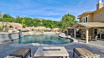 Custom freeform pool with patio Photo