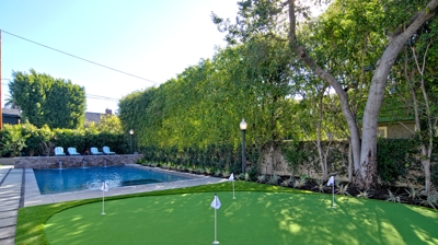 Pool Project with Putting Green Photo