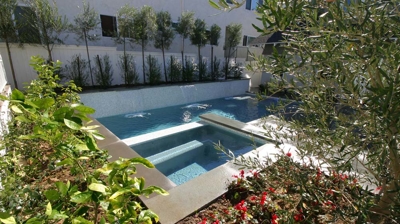 Small pool with spa and landscaping Photo