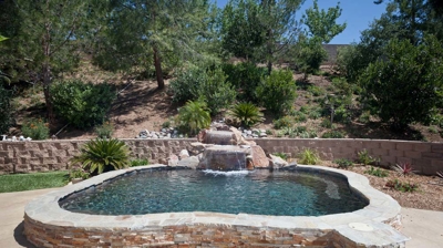 Small pool with freeform edge design Photo