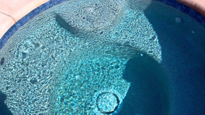 The interior of a spa. Photo