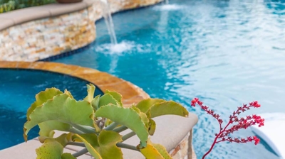 A blue pot with plants and succulents next to a swimming pool. Photo