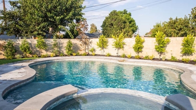 Backyard pool accentuated by a raised spa for heightened visual appeal. Photo