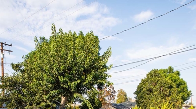 Pool adorned with a raised spa, adding to its aesthetic charm. Photo