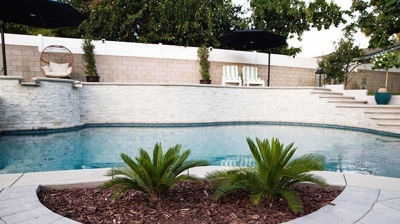 Two palm plants landscaped near a pool. Photo