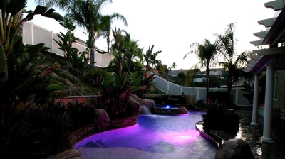 Purple lit pool with gorgeous green landscaping. Photo