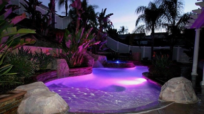 Purple lit pool with gorgeous green landscaping. Photo