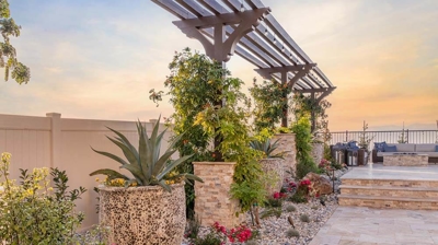 A side wall with greenery and vines underneath a string of lights. Photo