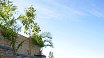 Pool Waterfalls Photo