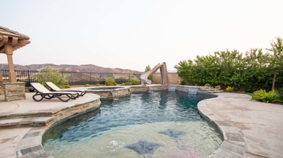 Freeform backyard pool with tanning ledge Photo
