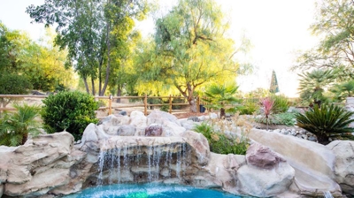 Custom freeform pool with waterfall feature Photo