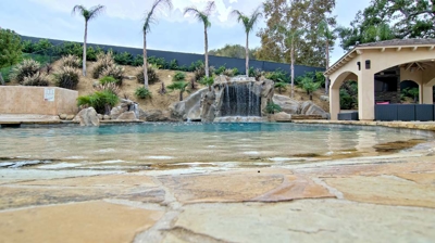 Pool with water feature surrounded by palm trees Photo