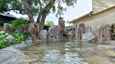 Landscaping with water feature Photo