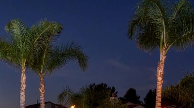 Pool with fire bowl and water fountain features Photo