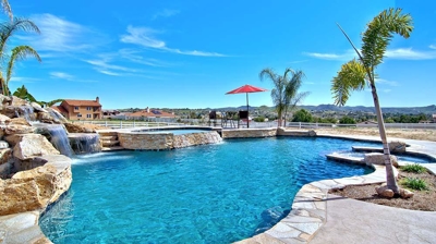 Pool with Palm Tree Photo
