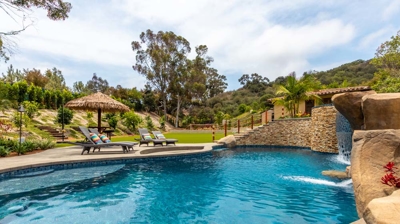 Modern freeform pool and backyard Photo