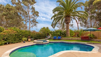 Curved pool with a palm tree overhead on a sunny day Photo