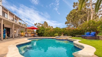 Curved pool with a palm tree overhead on a sunny day Photo
