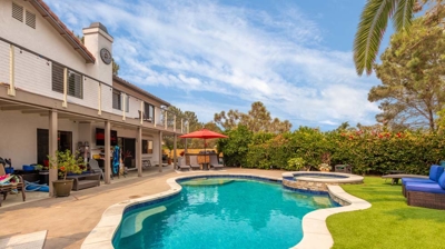 Curved pool with a palm tree overhead on a sunny day Photo