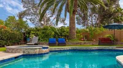 Curved pool and circular jacuzzi with a palm tree overhead on a sunny day Photo