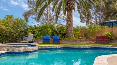 Curved pool and circular jacuzzi with a palm tree overhead on a sunny day Photo