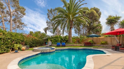 Curved pool and circular jacuzzi with a palm tree overhead on a sunny day Photo
