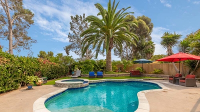 Curved pool with a palm tree overhead on a sunny day Photo