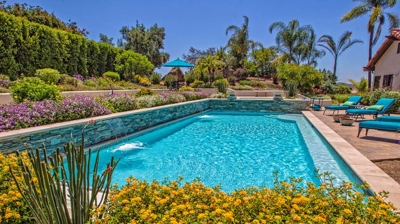 Large pool surrounded by bright yellow flowers on a summer day Photo