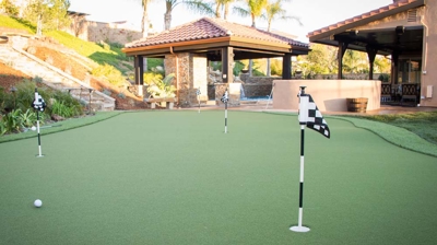 Backyard putting green Photo