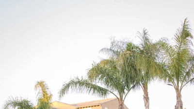 Backyard pool with water and fire features Photo