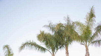 Backyard pool with water fountain feature and fire features Photo