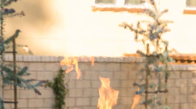 Fire bowl feature near pool Photo