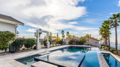 Infinity edge pool with spa Photo