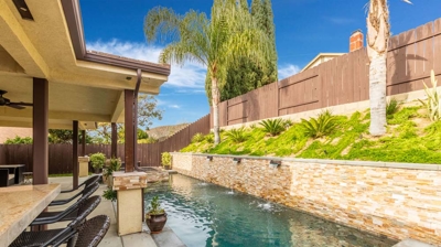 Shaded Pool and Hot Tub Photo