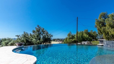 A tranquil oasis: a pool with gentle curves, reflecting the bright sunshine. Photo