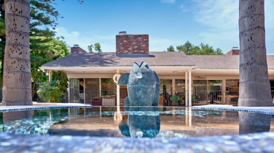 Reflection of a fish statue in water Photo