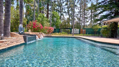 Pool in a backyard with trees Photo