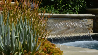 A succulent planter with a spa waterfall in the background Photo