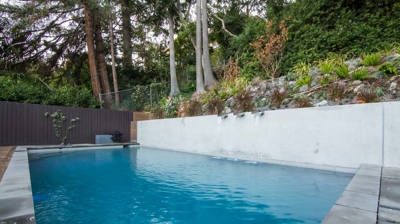 Serenity in the suburbs: rectangular pool amidst lush greenery in a backyard setting Photo
