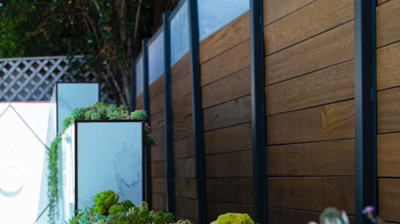 plants hanging over a ledge next to a pool Photo