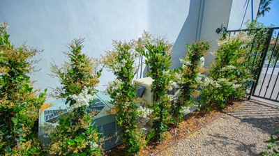 Landscaping and greenery on side yard Photo