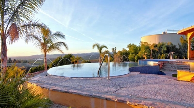 A serene oasis featuring an endless pool enveloped by swaying palm fronds adjacent to a manicured putting green. Photo