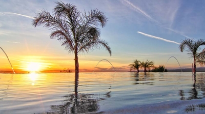 An infinity pool enveloped by slender palm trees adjacent to a verdurous putting green. Photo