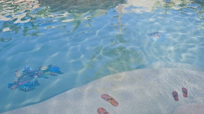 Pool sanctuary showcasing palm tree and spa with decorative interior tile art. Photo