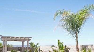 Pool paradise featuring palm tree and spa with a serene waterfall. Photo