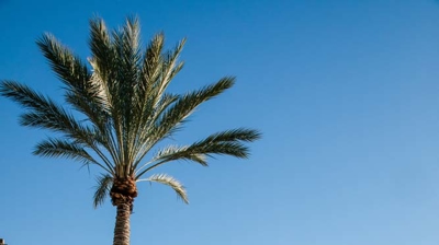 Spanish-inspired pool area Photo