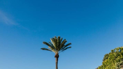 Tranquil outdoor pool Photo