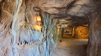 A breathtaking backyard cave adorned with fossil-studded walls. Photo