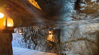 A backyard cavern of wonder, featuring fossilized treasures embedded in its walls. Photo